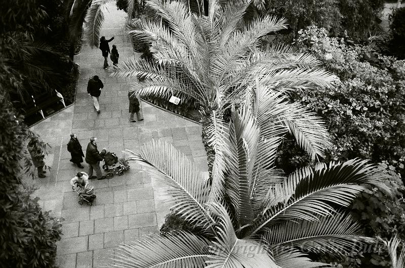 Palm House, Kew Gardens, London 12330017.JPG